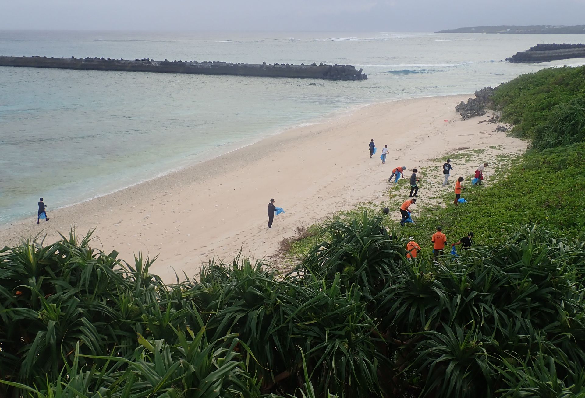 P1017616.JPG