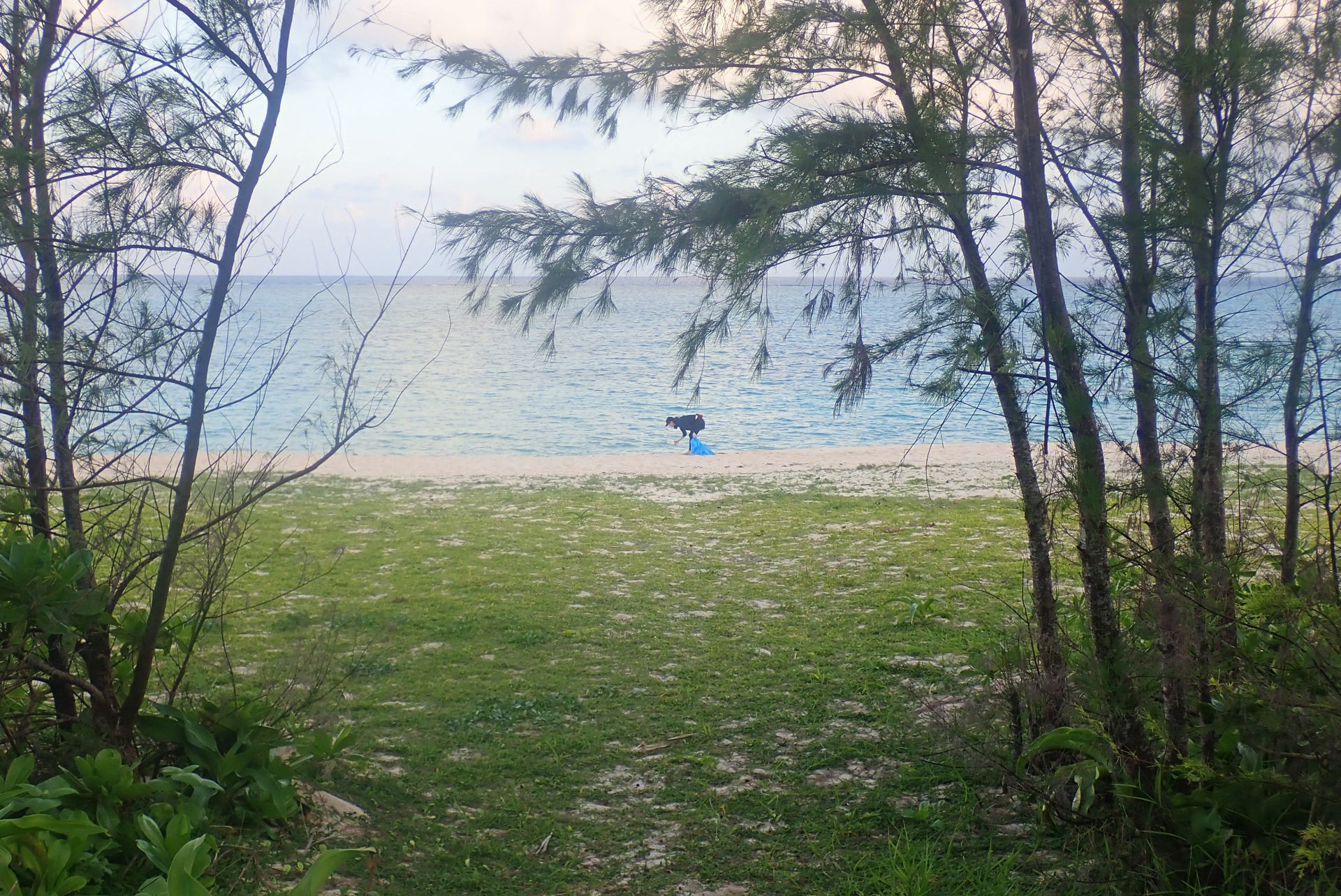 黙々と・・・♪